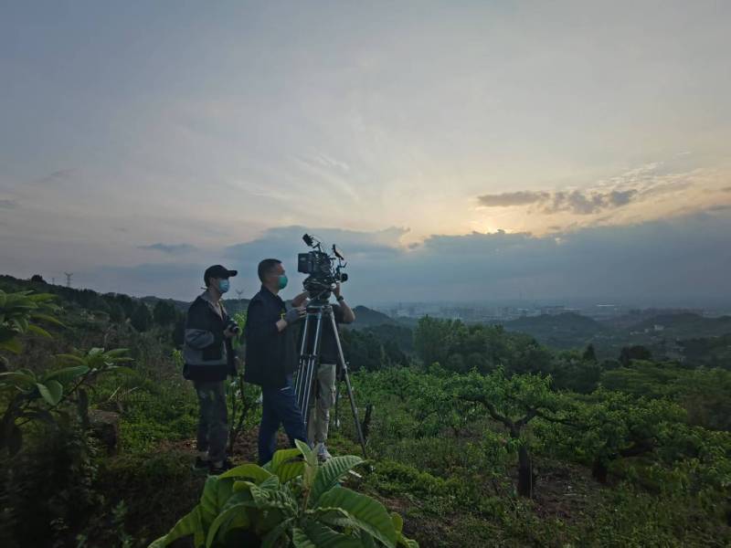 创意破圈！宜黄县电商产品宣传视频用故事化叙事引爆流量