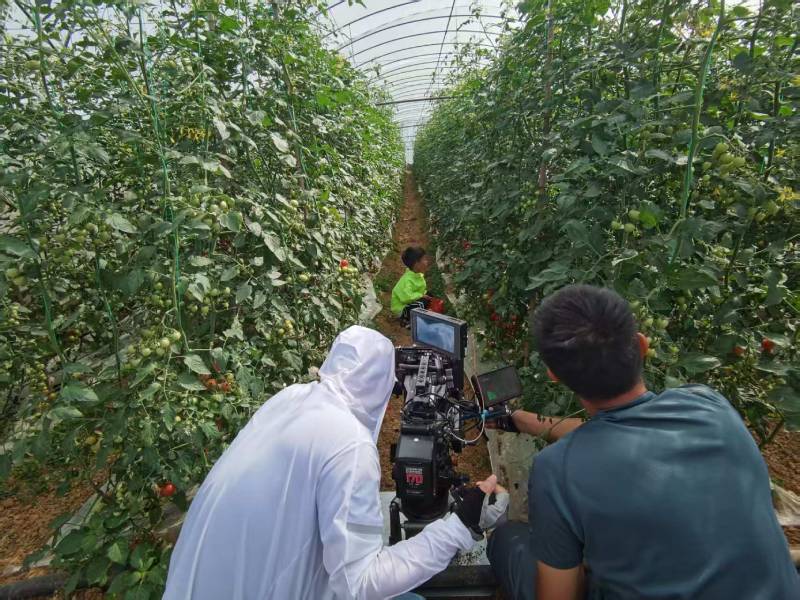 宜黄县产品宣传视频拍摄公司进阶指南，助力品牌抢占传播高地